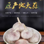 专业种植有机大蒜臻芸杞誉有机农场官网开通了