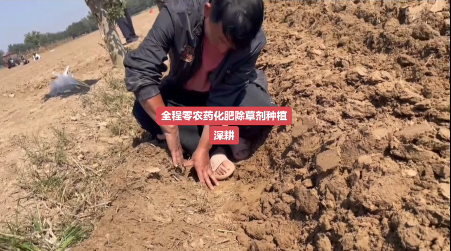 臻芸杞誉有机生态农业有限公司创立说说感想插图2 臻芸杞誉有机生态农业有限公司创立说说感想插图2