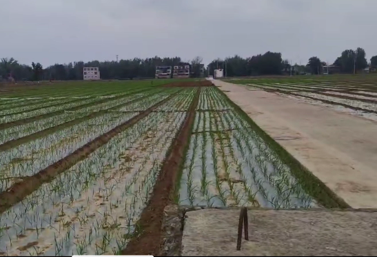 臻芸杞誉有机生态农业有限公司创立说说感想插图3 臻芸杞誉有机生态农业有限公司创立说说感想插图3