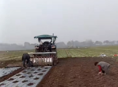 臻芸杞誉有机生态农业有限公司创立说说感想插图6 臻芸杞誉有机生态农业有限公司创立说说感想插图6