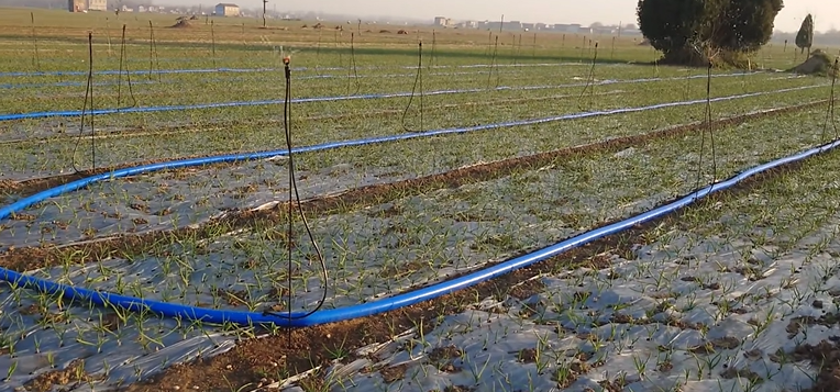 臻芸杞誉有机生态农业有限公司创立说说感想插图8 臻芸杞誉有机生态农业有限公司创立说说感想插图8