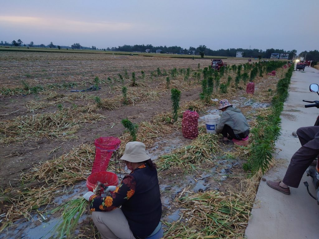 臻芸杞誉有机生态农业有限公司创立说说感想插图4 臻芸杞誉有机生态农业有限公司创立说说感想插图4